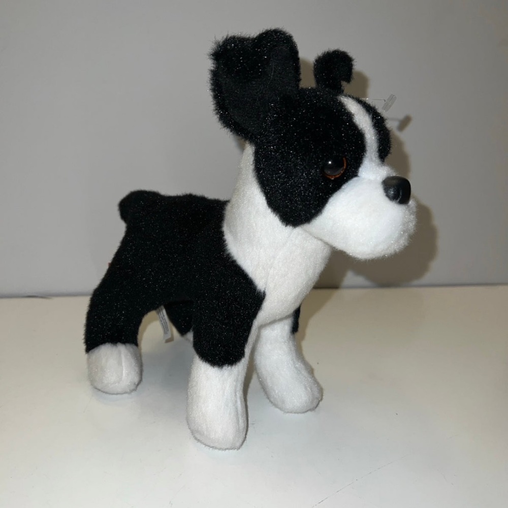 Douglas Quincy Boston Terrier